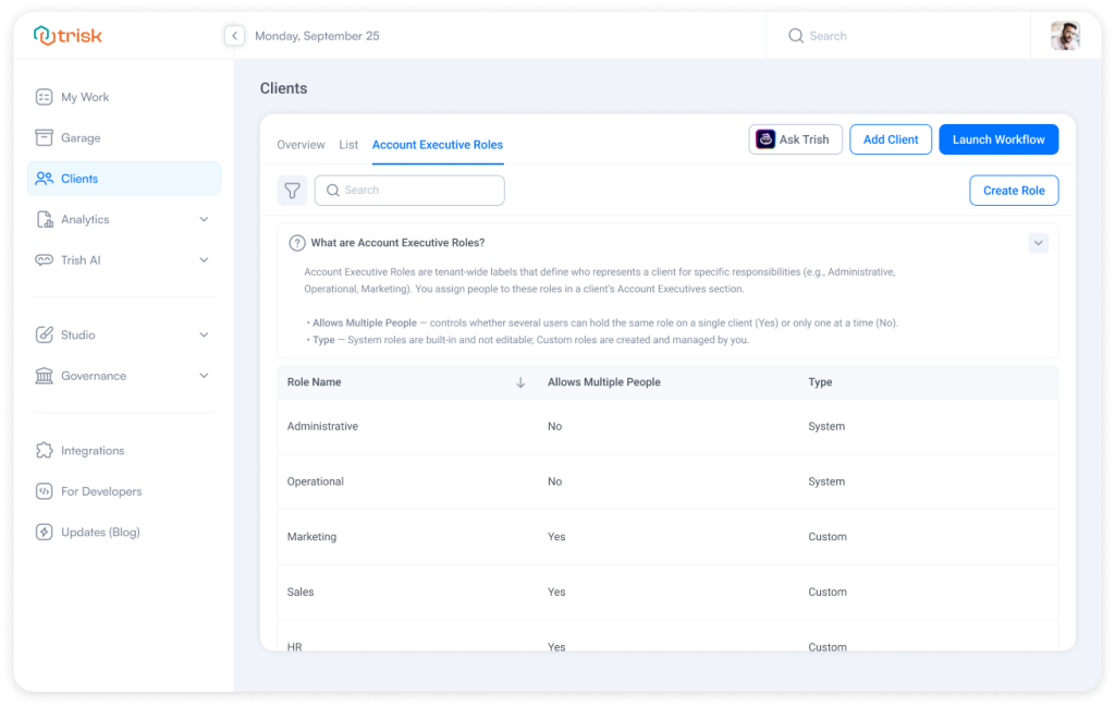 Account Executive Roles tab in professional services automation software displaying system and custom roles for managing client ownership, responsibilities, and permissions, helping firms maintain clear accountability and scalable client management as teams grow.