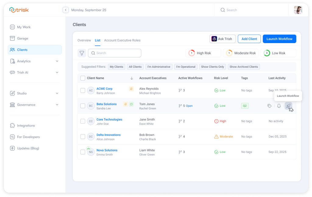 Unified client list view in professional services automation software displaying all clients in one table with ownership, workflow status, risk indicators, and advanced filters, helping accounting and consulting teams manage client onboarding, compliance workflows, and daily operations more efficiently.