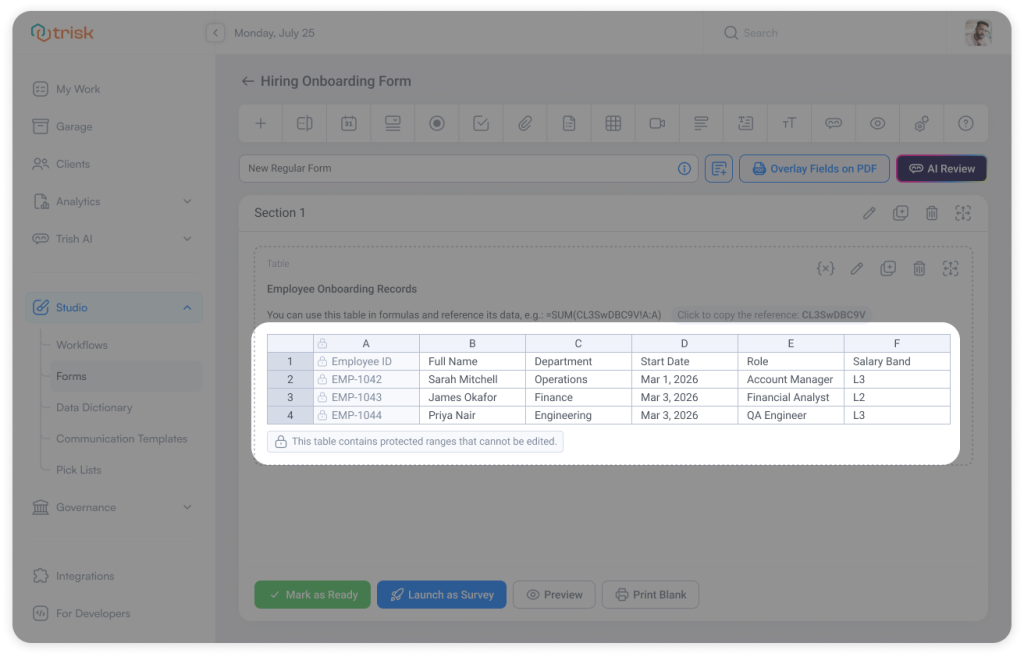 Form table displaying locked cells and protected ranges with a message indicating that certain data cannot be edited. The interface ensures secure data management and prevents unauthorized changes in structured workflows used by accounting, legal, and consulting teams for compliance, onboarding, and reporting processes.