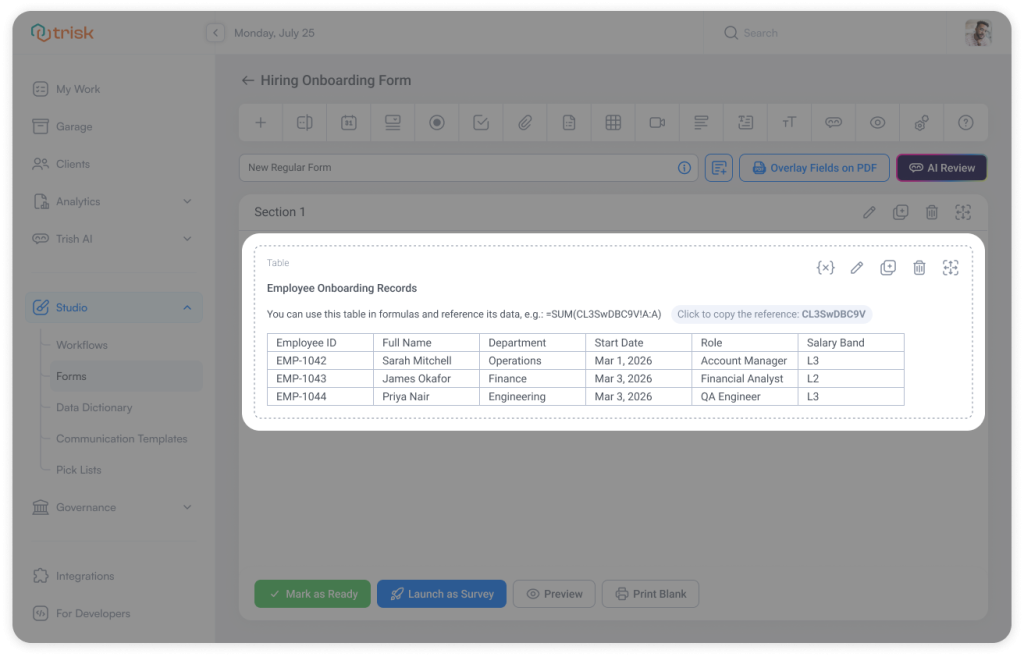 Form builder interface displaying a table used for employee onboarding data with a clean layout, where row numbers and column headers can be hidden for a simplified user experience. This feature helps accounting firms, consulting teams, and legal professionals create intuitive forms for client onboarding and structured data collection.